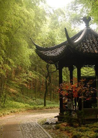 Yunxi Zhujing Scenic Resort